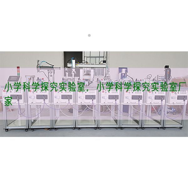小學(xué)科學(xué)探究實驗室，小學(xué)科學(xué)探究實驗室廠家(圖1)